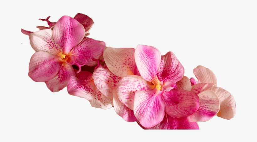 Welcome To Chada Emerald Thai Massage - Transparent Flower Massage Png, transparent png