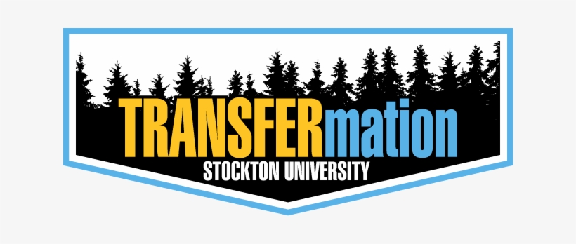 Congratulations On Your Decision To Choose Stockton - Colorado Spruce, transparent png