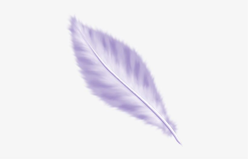 Plumes - Plumas Png Sin Fondo, transparent png