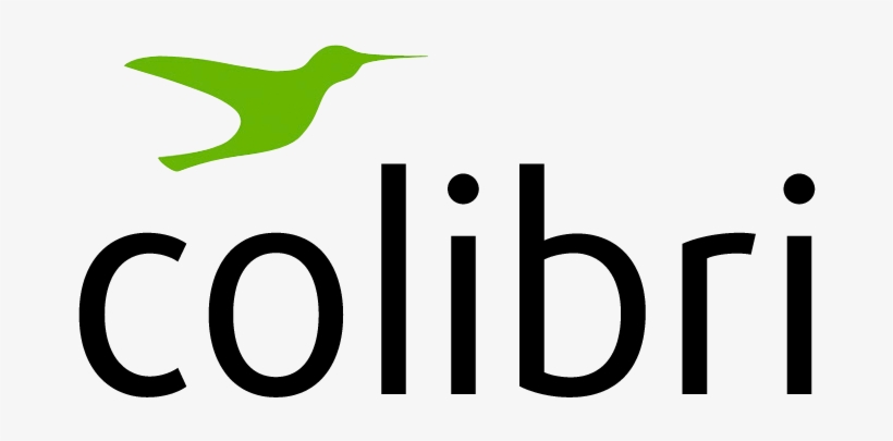 Colibri Moveis, transparent png