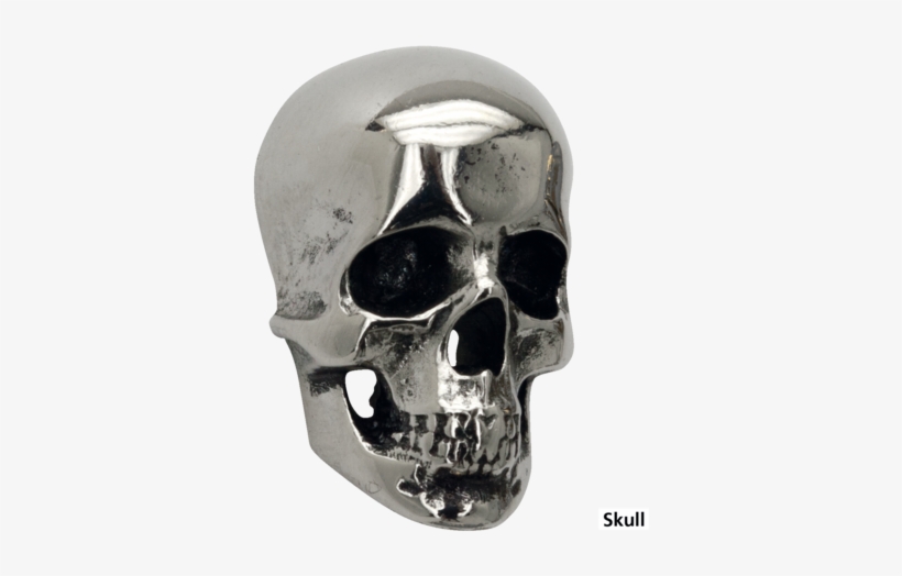 Specifications - Skull - Vis Decorative Skull Inox, transparent png