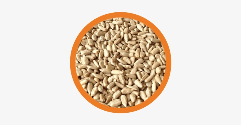 Sunflower Seeds Eli 2017 03 03t22 - Karmalize.me 230030 Organic Sunflower Seeds 6 Oz Food, transparent png