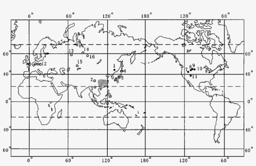 Vector Bar Drawing - Diagram, transparent png