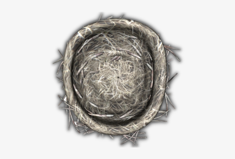 29 425k Egg 06 Feb 2009 - Circle, transparent png