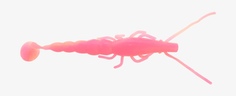 Halco Paddle Prawn 5 Inch Pink Glow - Insect, transparent png