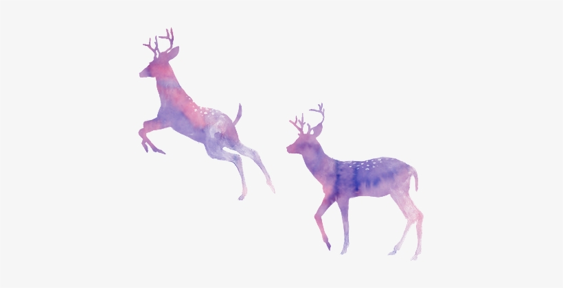 Watercolor Pngs - Deers Watercolour, transparent png