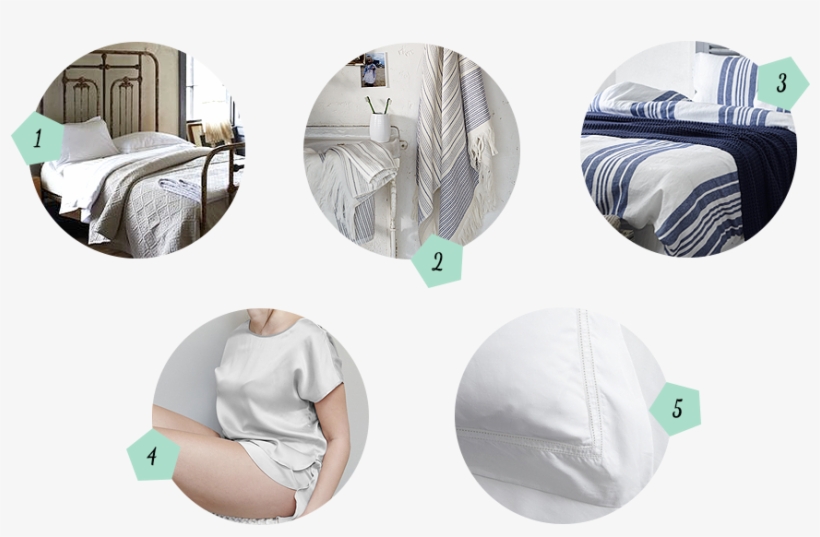 Favourites From Soak And Sleep On Hecticophilia - Cradle, transparent png