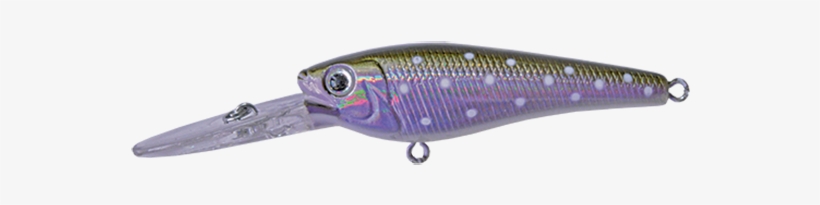 Galaxia Minnow 981t - Bait Fish, transparent png