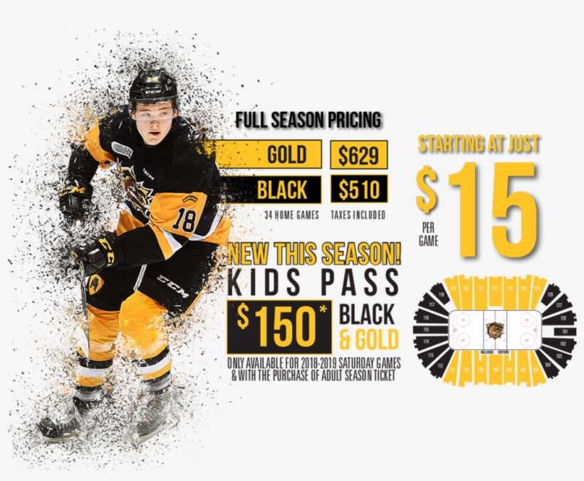 Gold 2018-19 Hamilton Bulldogs Season Tickets Dog House, transparent png