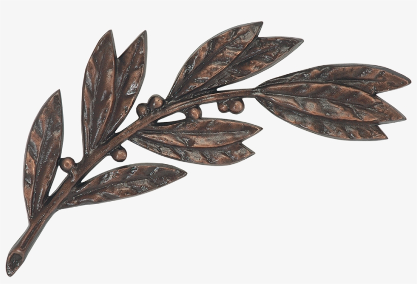 Laurel Branch - Twig, transparent png