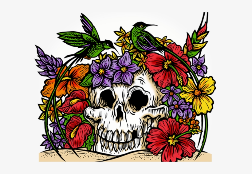 Skull, transparent png