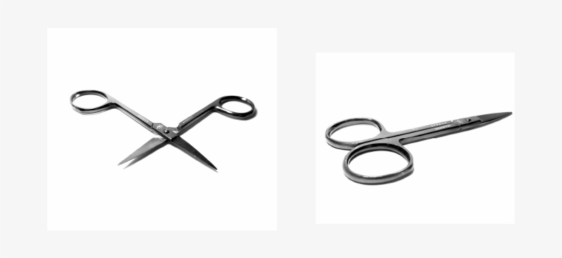 To Start This Process, We Were Asked To Choose A Small, - Scissors, transparent png