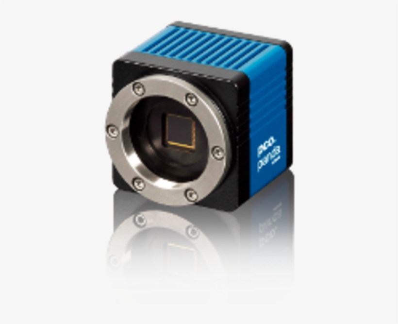 Friday, 01/27/2017 - Pco Panda, transparent png