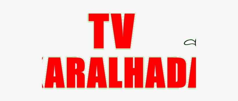 Photo - Orange, transparent png