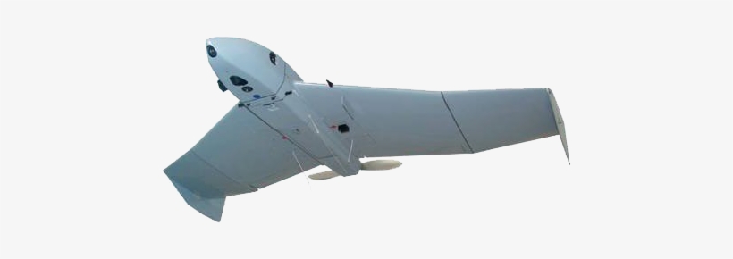 Microb - Microb Bluebird, transparent png