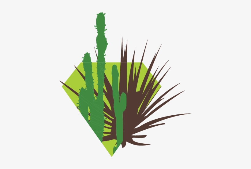 In This Zone, We Show How Desert Plants Have Adjusted - Illustration, transparent png