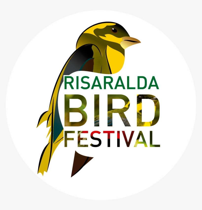 Risaralda Bird Festival - Bird Festival Pereira 2018, transparent png