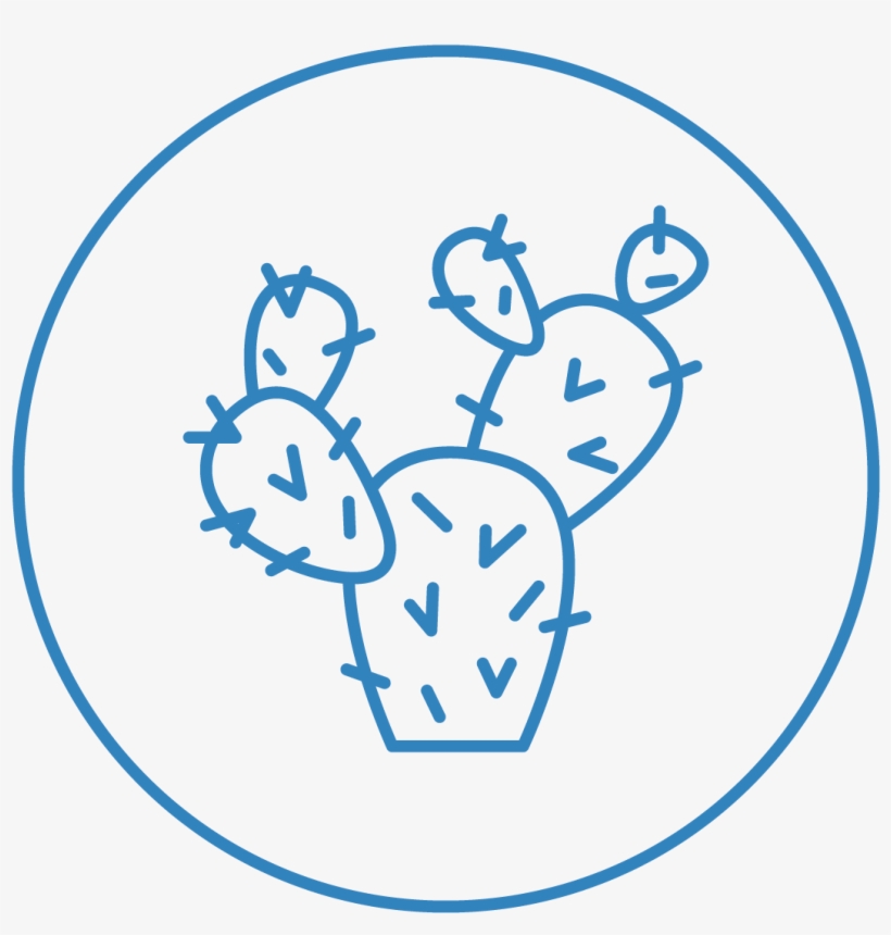 Desert-garden - Circle, transparent png