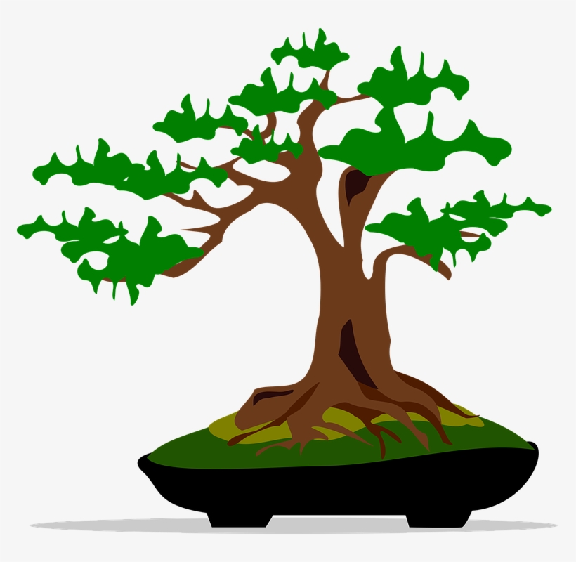 Bonsai Clipart Japanese Art - Bonsai Clipart, transparent png