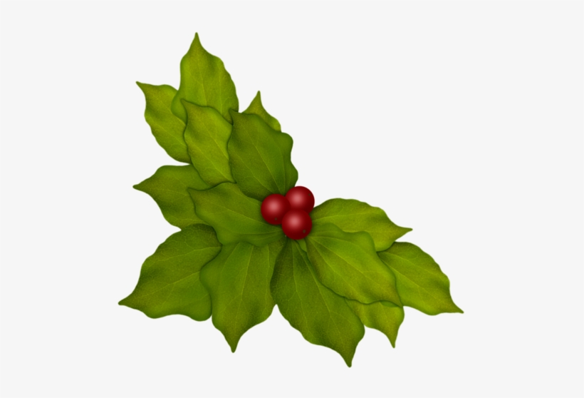 Aw Woodland Leaves And Berries - Christmas Day, transparent png