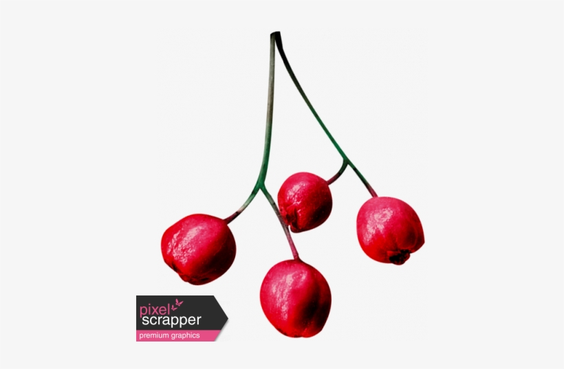 Christmas Day - Elements - Berries - Loved Word, transparent png