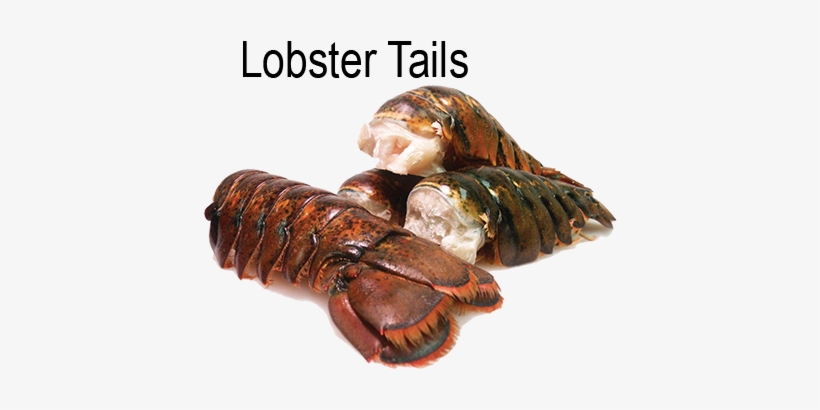 Products - Cold Water Raw Lobster Tails, transparent png