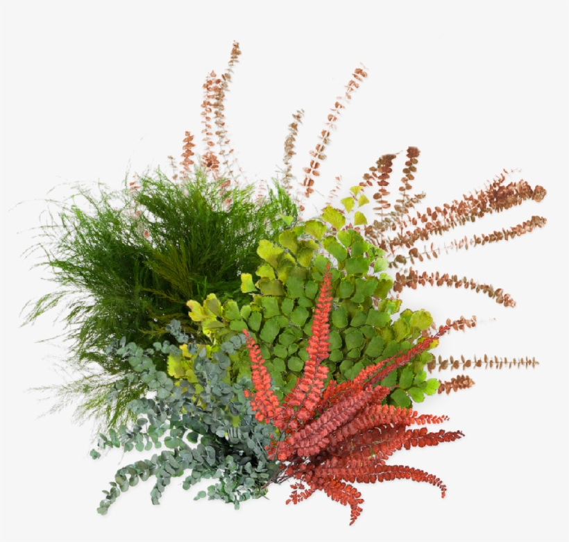 Hotspot, transparent png