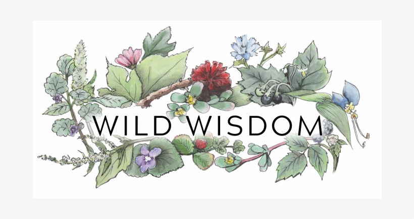Wild Wisdom - Awbury Arboretum, transparent png