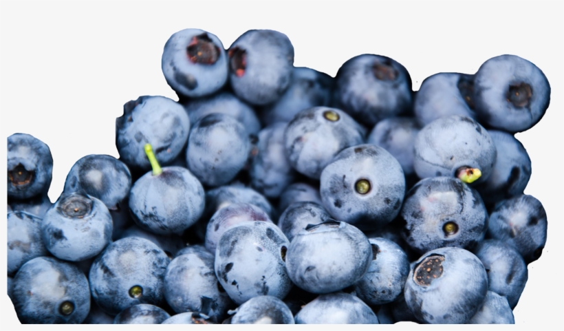 Wild Blueberries, Credit - Blueberry Texture, transparent png