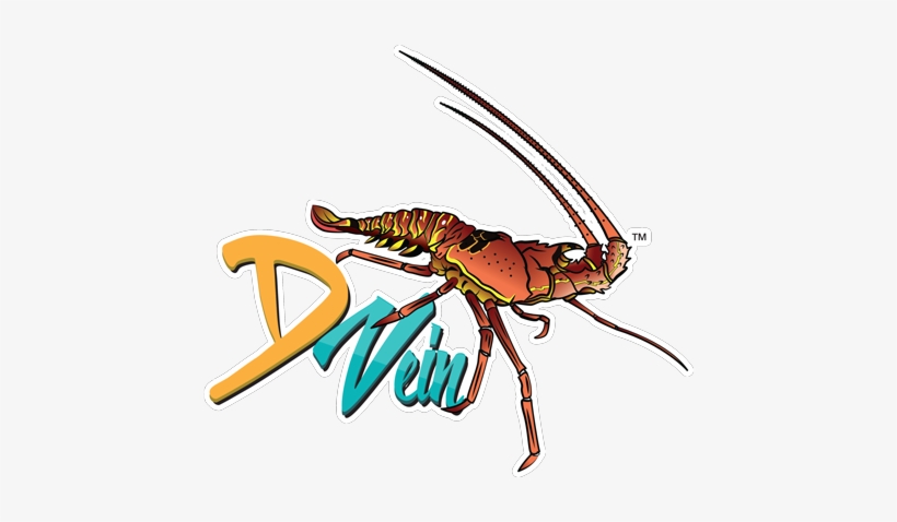 Gallery, transparent png
