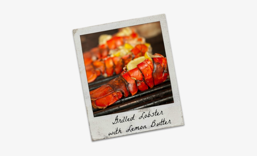 Memorial Day Lobster Delivery Grill - Grilling, transparent png
