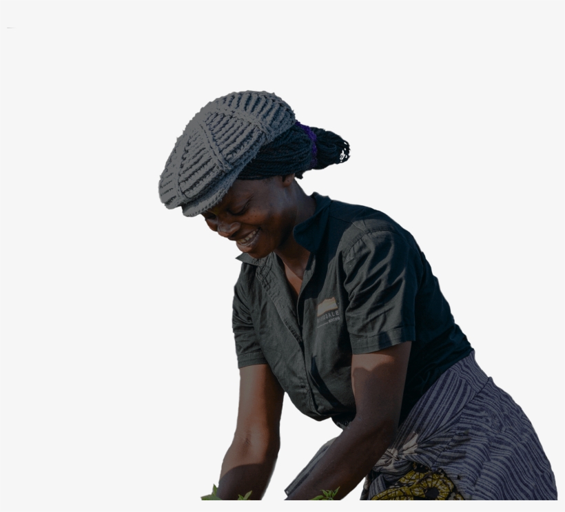 Peri-farms - Sitting, transparent png