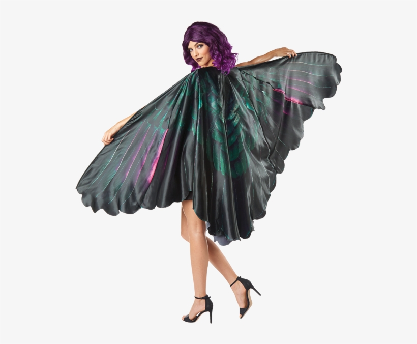 Raven Wings - Seasons Usa Inc, transparent png