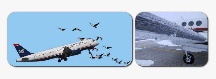 2 Forms Of Technology That Save People In/birds From - Technology, transparent png