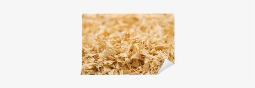 Wood, transparent png
