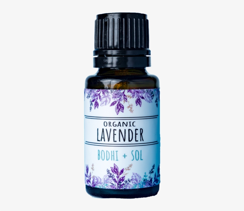 Camomile, transparent png