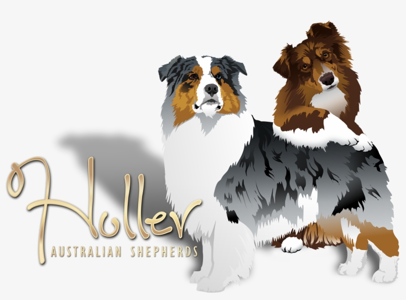 Australian Shepherd Kennel Logo, transparent png