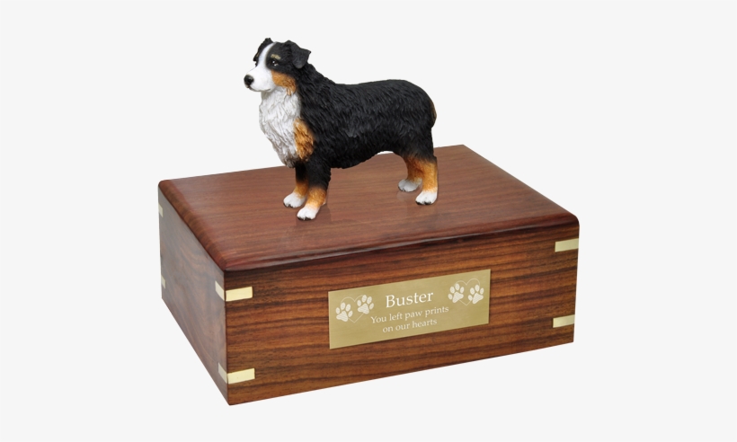 Australian Shepherd Tricolor Pet Wood Cremation Urn - Pug Urn, transparent png