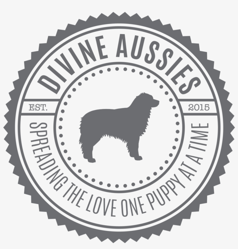 Sign Up For Litter Updates & Tips From Us - Three Mile Brewing, transparent png