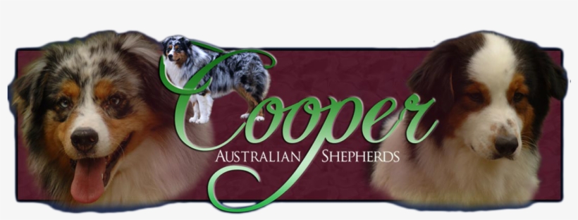Logo, transparent png