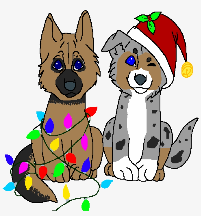 German Shepherd And Australian Shepherd - German Shepherd, transparent png