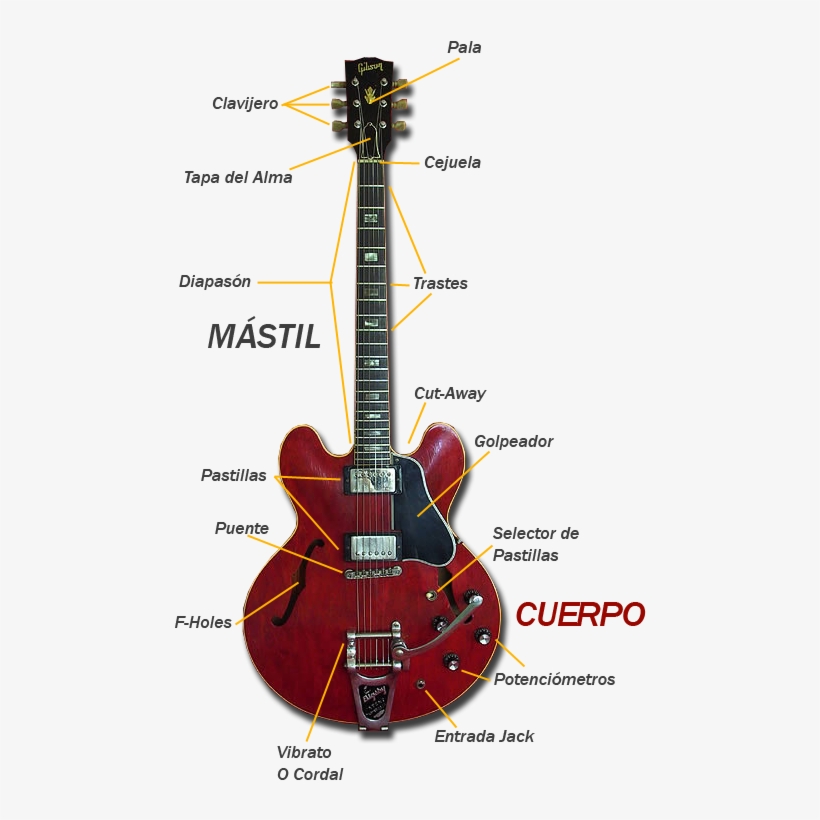 Partes De La Guitarra Eléctrica - Partes De Guitarra Jazz, transparent png