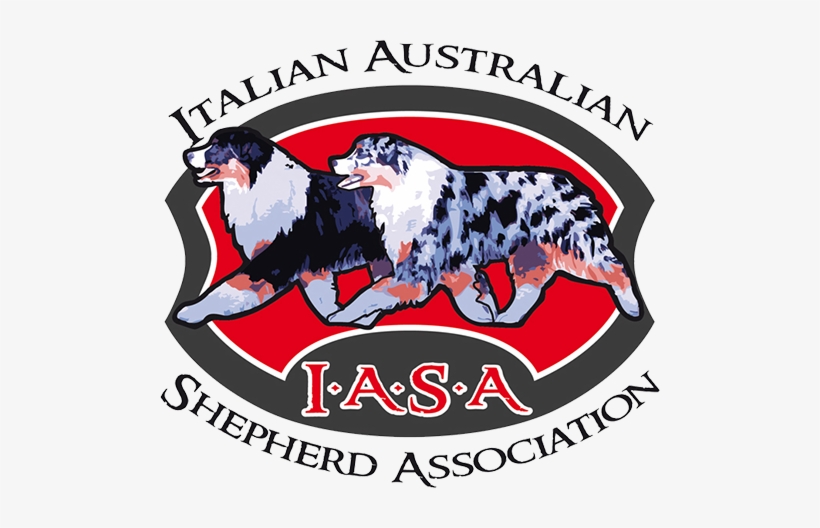 Italian Australian Shepherd Association - Italian Shepherd, transparent png