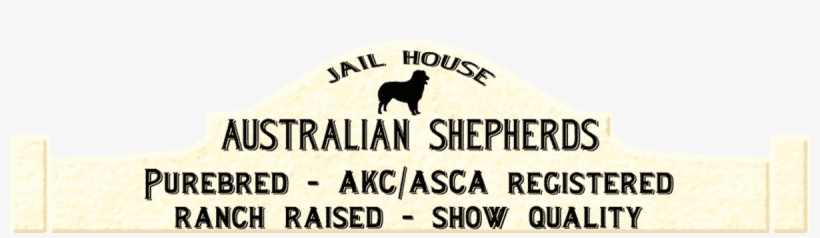 Australian Shepherds - Jailhouse Aussies - Australian Shepherd, transparent png