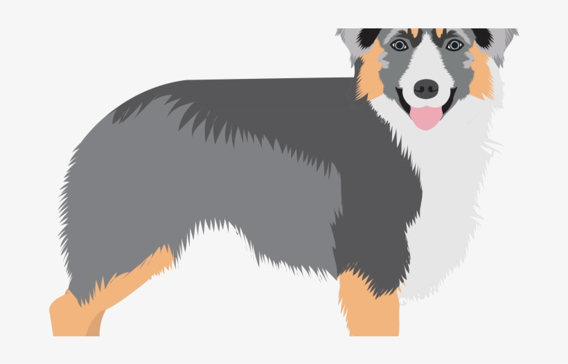 Canadian Kennel Club Reveals Surprise Addition To Canada's - Shetland Sheepdog, transparent png