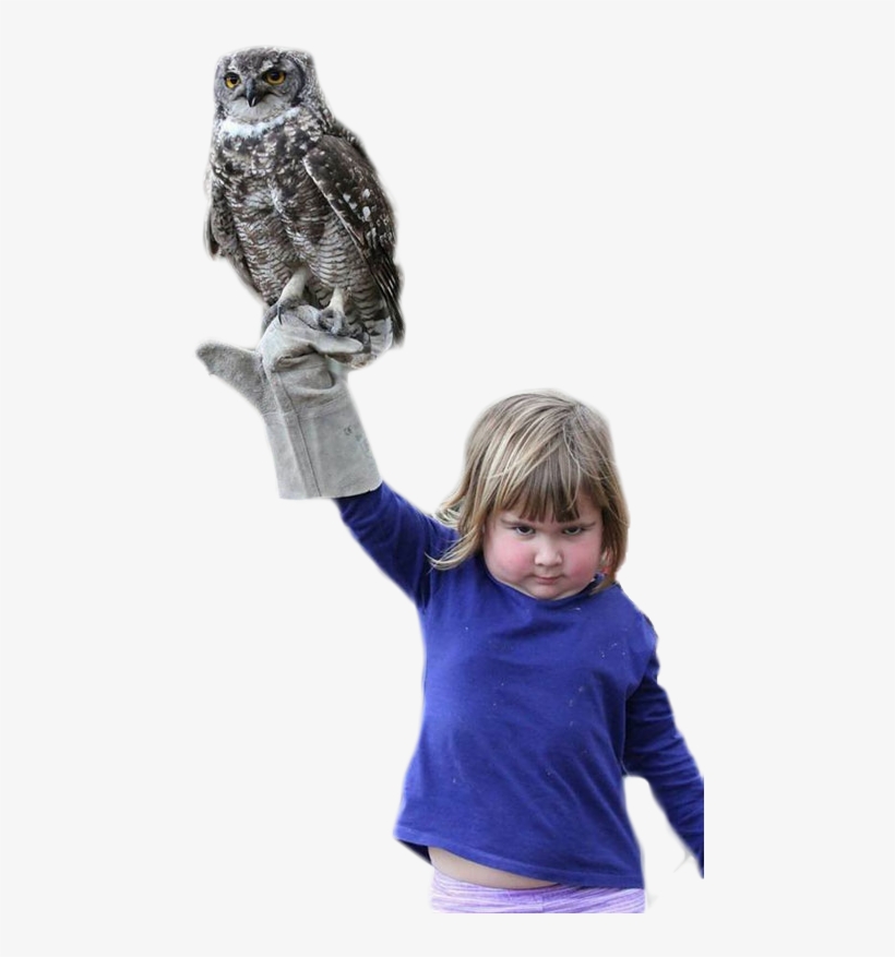 Personan Angry Girl Holding An Owl - Person Holding An Owl, transparent png