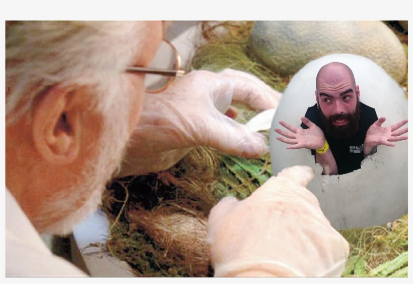 Http - //i - Imgur - Com/huaqvrr - Локации В Halo 5, transparent png