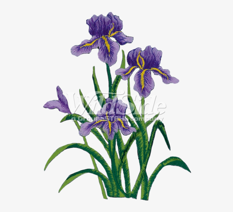 Purple Iris - Transparent Flower Side, transparent png