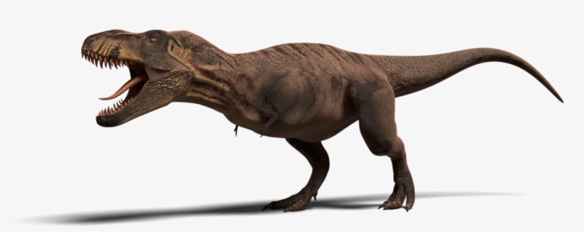 Tyrannosaurus Rex Model - Tyrannosaurus, transparent png