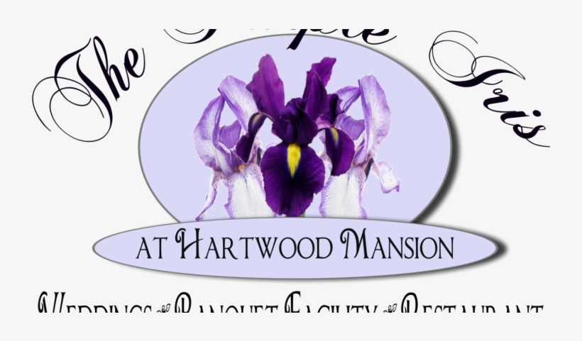 Iris, transparent png